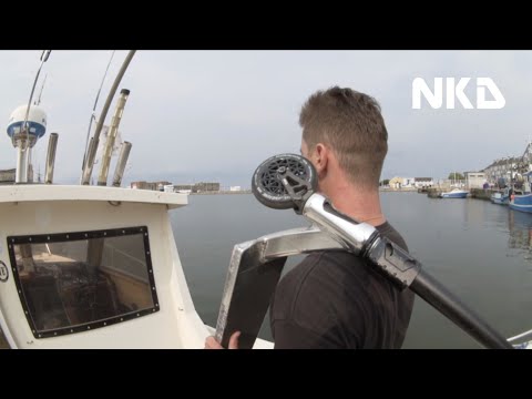 Video post from NKD Scooters.