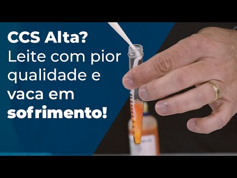 Video post from Somaticell Diagnósticos.