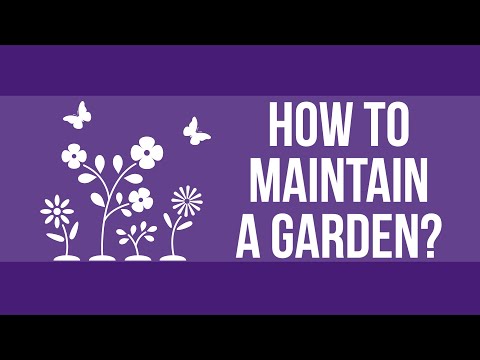 Video post from Montgomery College.