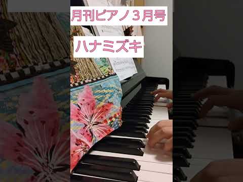 Video post from solfegge.