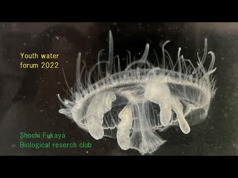 Video post from Youth Water Forum.