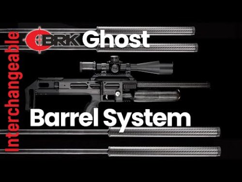 Video post from airgunsofarizona.