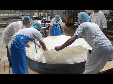 Video post from Latterie Vicentine Stabilimento produttivo.