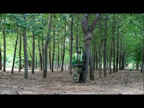Video post from FAC Aurora.