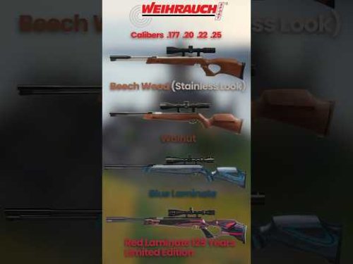 Video post from airgunsofarizona.