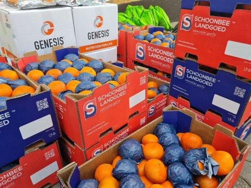 Carousel post from Genesis Nutritional Products.