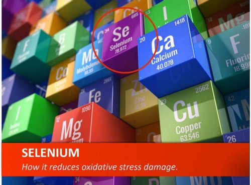 Photo post from Genesis Nutritional Products.