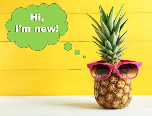 Photo post from Genesis Nutritional Products.