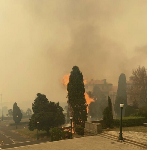 Photo post from Genesis Nutritional Products.