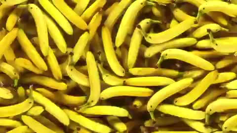 Video post from Genesis Nutritional Products.