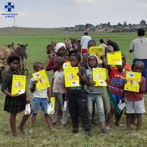 Photo post from Genesis Nutritional Products.