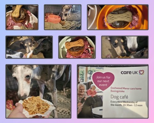 Photo post from Dashwood Manor Care Home.
