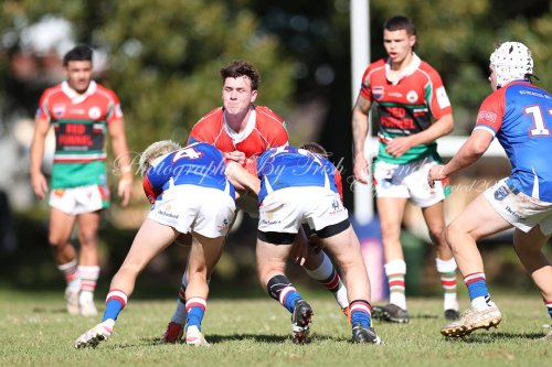 Carousel post from Western Suburbs Rosellas.