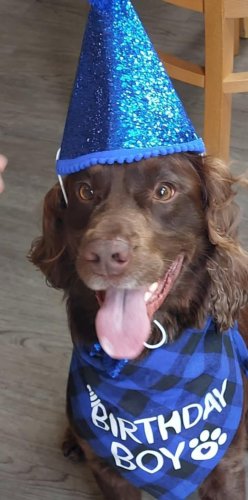 Photo post from Stanley Park Care Home.