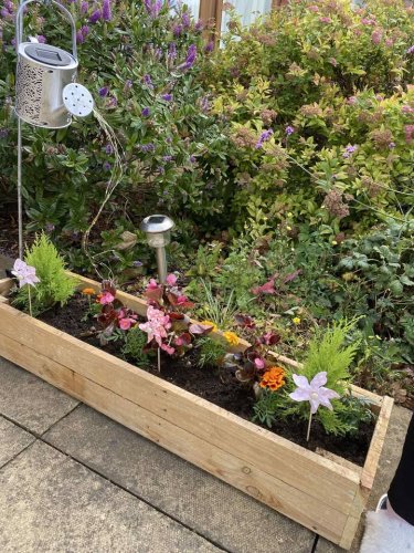 Carousel post from Stanley Park Care Home.