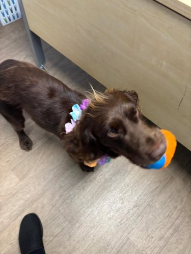 Carousel post from Stanley Park Care Home.