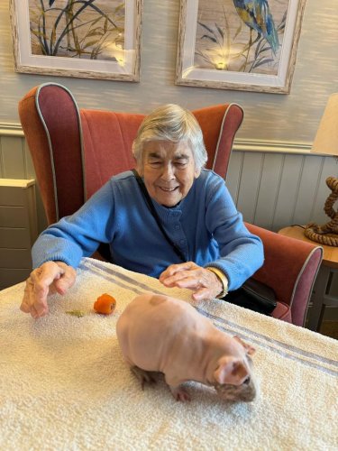 Carousel post from Oat Hill Mews Care Home.