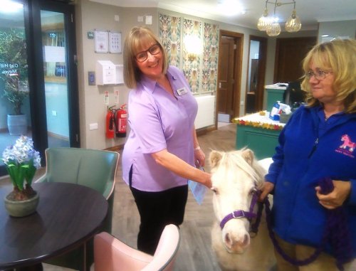 Carousel post from Oat Hill Mews Care Home.