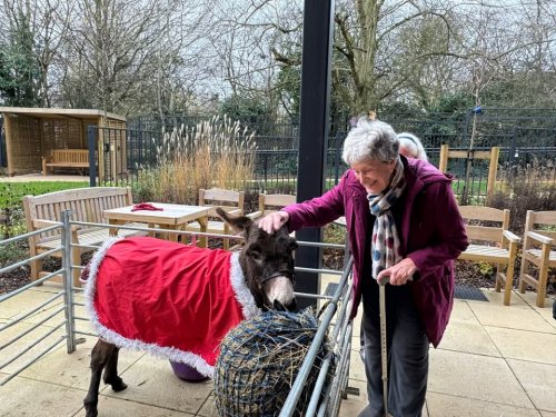 Carousel post from Oat Hill Mews Care Home.
