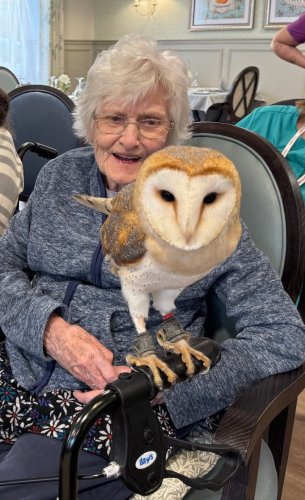 Carousel post from Oat Hill Mews Care Home.