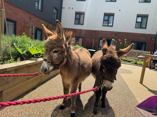Carousel post from Oat Hill Mews Care Home.