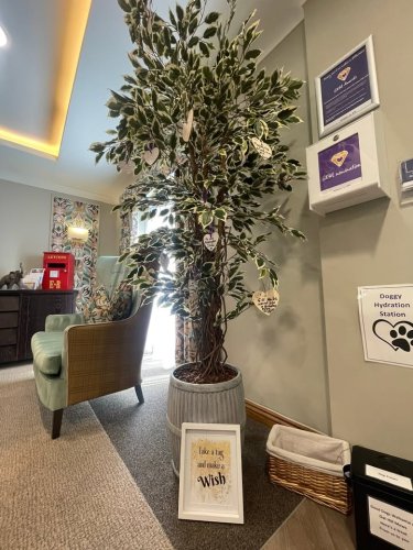 Carousel post from Oat Hill Mews Care Home.