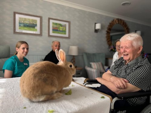 Carousel post from Oat Hill Mews Care Home.