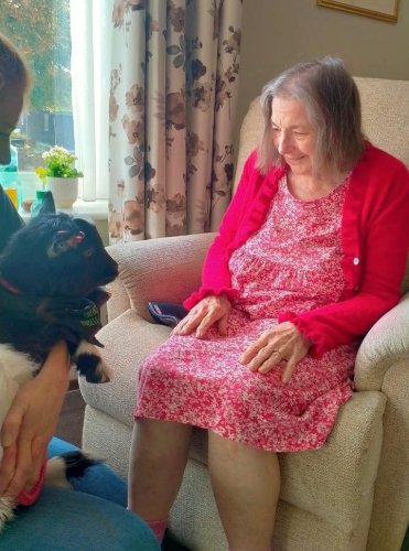 Carousel post from Salisbury Manor Care Home.