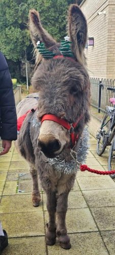 Carousel post from Salisbury Manor Care Home.