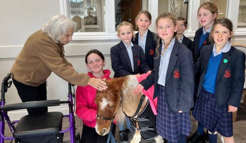 Carousel post from Salisbury Manor Care Home.