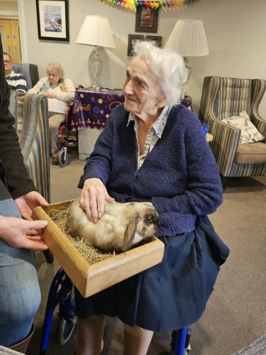Carousel post from Salisbury Manor Care Home.
