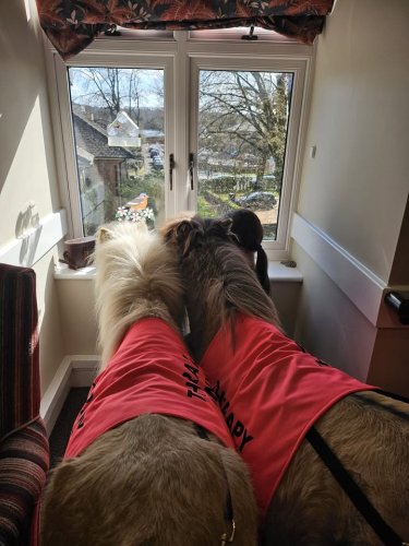 Carousel post from Salisbury Manor Care Home.