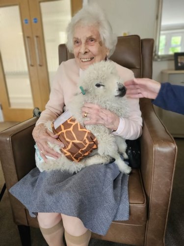 Carousel post from Salisbury Manor Care Home.