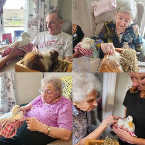 Photo post from Salisbury Manor Care Home.
