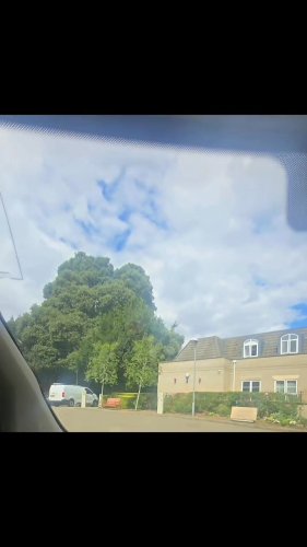 Video post from Salisbury Manor Care Home.