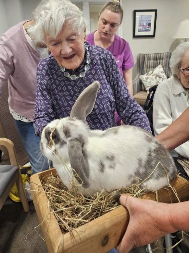 Photo post from Salisbury Manor Care Home.