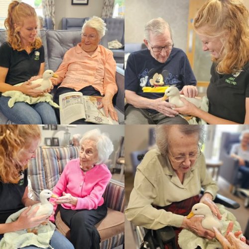 Photo post from Salisbury Manor Care Home.