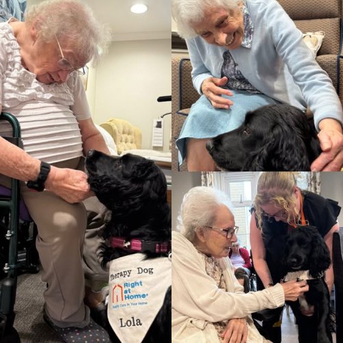 Photo post from Salisbury Manor Care Home.