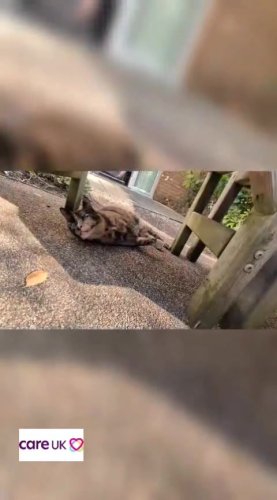 Video post from Sandfields Care Home.