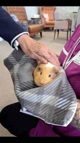 Photo post from Oxbow Manor Care Home.