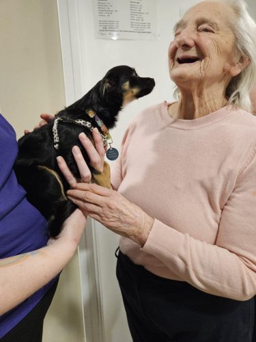 Carousel post from Hollins Park Care Home.
