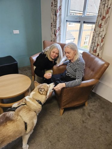 Carousel post from Hollins Park Care Home.