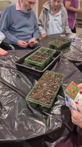 Video post from Hollins Park Care Home.