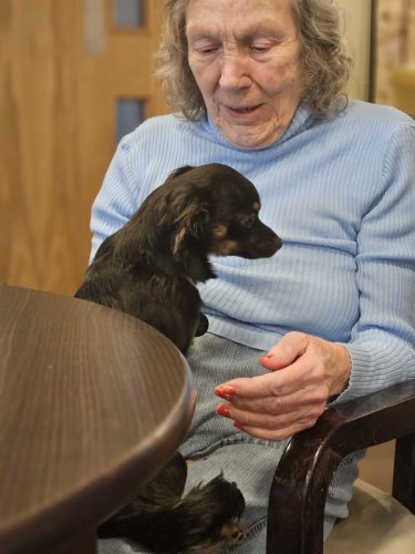Carousel post from Hollins Park Care Home.