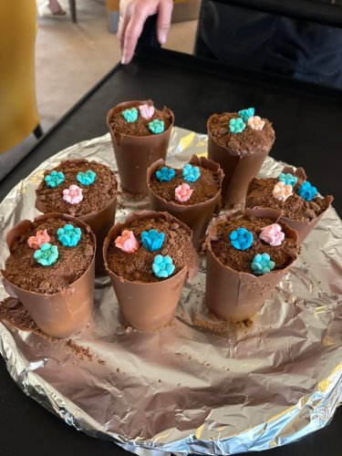 Photo post from Hollins Park Care Home.