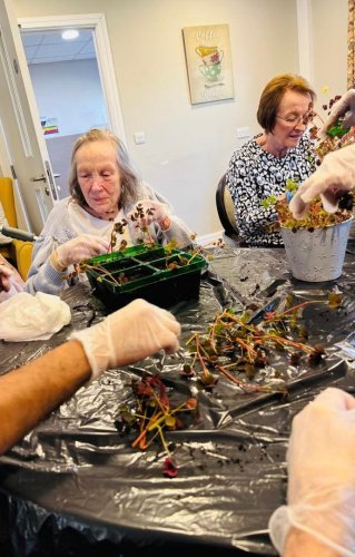 Carousel post from Hollins Park Care Home.