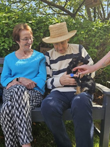 Carousel post from Hollins Park Care Home.