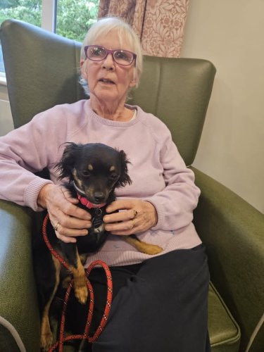 Carousel post from Hollins Park Care Home.