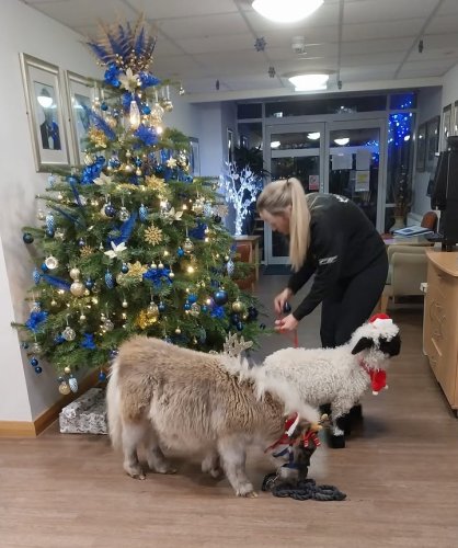 Carousel post from Lennox House Care Home.
