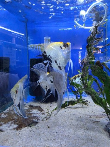 Carousel post from Lennox House Care Home.